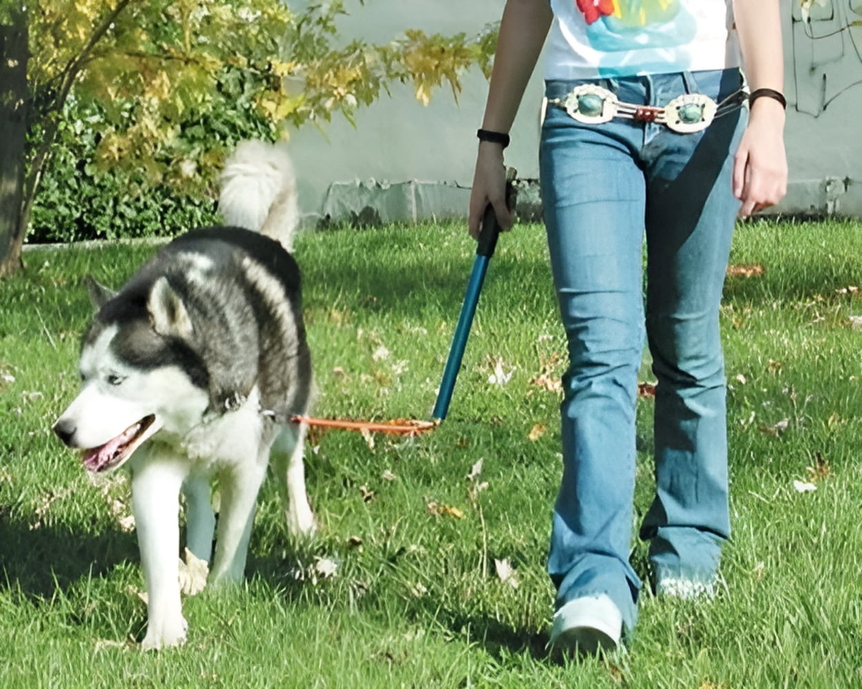 Walky Dog Plus Hands Free Bicycle Dog Leash Exerciser