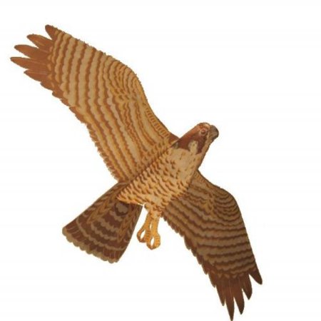 UPC 640346000335 product image for Jackite Assembled Peregrine Falcon Bird Kite, Wind Sock, Pest Deterrent | upcitemdb.com