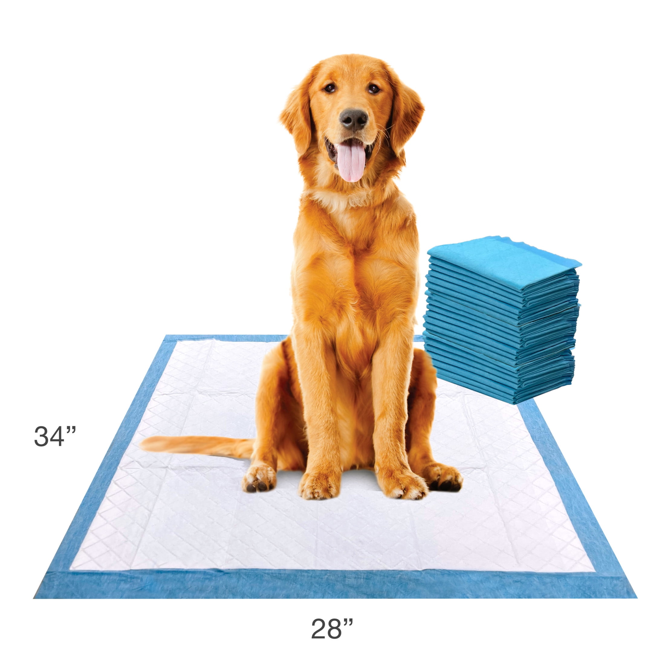 Four Paws Wee Wee Superior Potty Training Dog & Puppy Pads, Pet Pee Pads, X-Large 21 Count