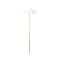 thumbnail image 2 of Artificial Gerbera Daisy Flower Stem Flower Realistic Silk Flower for Home Decor Wedding Bouquet Centerpiece Vase Fillers Table Decoration Party Decor Single Stem （White）, 2 of 6