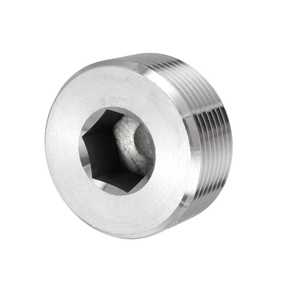 Pipe Plug Stainless Steel Internal Hex Thread Socket - 1-1/4 Inch NPT Male & 6 Pack