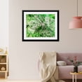 thumbnail image 2 of Art Print (Unframed), Delhi, India Viewed from Space by NASA, 16" x 20", 2 of 3