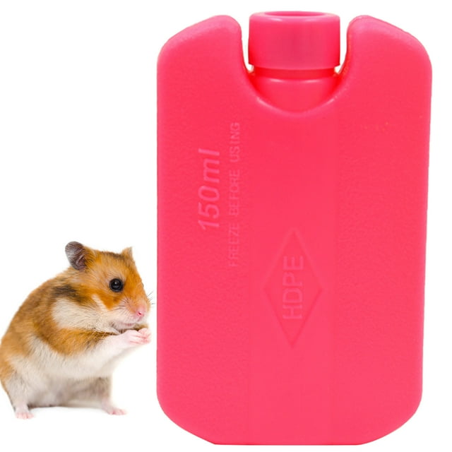 Ice Pack Portable Lunch Cool Pack Kitchen Cool Pack Freezer Pack for Hamster