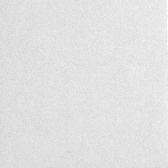 Armstrong Ceiling Tiles; 2x4 Ceiling Tiles - 6 pcs White Ceiling Tiles; Acoustic Ceilings for Suspended Ceiling Grid; CALLA 2821