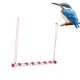thumbnail image 4 of Hummingbird Feeder, 360 Degree View Elaborate Design Easy To Clean Hanging Long Tube Bird Feeder  For Deck For Garden For Courtyard For Terrace ANGGREK 53x5x5cm, 4 of 8