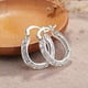 thumbnail image 4 of ✨ [plateado grueso pendiente de plata] Europa y los Estados Unidos Muy Flor Pendientes | 925 Plata Aguja de Prevención de Alergias | Sentido Superior de Diseño de la Minoría | Todo Tempe, 4 of 6