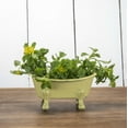 thumbnail image 5 of Mini Yellow Bathtub Soap Dish, 5 of 7