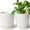 Glaze White, variant on LE TAUCI Orchid Pot, 6.5 Inch Ceramic Planter with Drainage Hole and Saucer, White Indoor Plant Pot for Repotting(Plant not included)