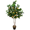 thumbnail image 5 of Northlight Artificial Lemon Tree In Black Pot with Faux Moss - 45", 5 of 9