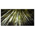 thumbnail image 2 of Longs Bambous dans la Forêt de Bambous - Impression sur Toile de Forêt, 2 of 3