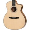 Taylor 114ce-N Grand Auditorium Nylon-String Acoustic-Electric Guitar (Demo)