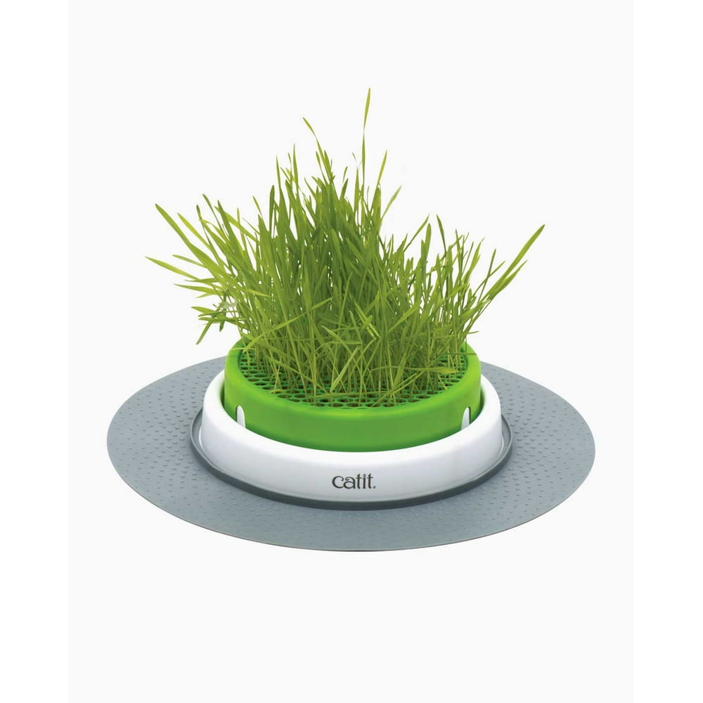Catit Senses 2.0 Cat Grass Kit -3 pack - Walmart.com - Walmart.com