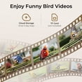 thumbnail image 6 of TT Nature Smart Bird Feeder with Camera Solar Powered, AI Identify 10000+ Birds, Weatherproof , Eco-friendly Wooden, Ideal Gift for Bird Lovers, 6 of 10