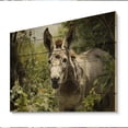 thumbnail image 2 of Designart "Gentle Companion Grey Donkey in Pastoral" Animals Print on Natural Pine Wood, 2 of 5