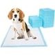 thumbnail image 4 of Paquete de 100 almohadillas para caca de perro, a prueba de fugas, 5 capas, superficie de secado rápido, tamaño regular, para perros y cachorros, 4 of 5