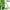 A, variant on Mrmaere Cactus Peeler Stainless Steel Multifunctional Kitchen Tool, Easy-to-Use Cactus Peeler Spoon for Cooking, Manual Cactus Leaf Peeler and Shrimp Ball Maker A