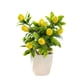 thumbnail image 2 of High-End Artificial Fruit Bonsai Flower Arrangements Indoor Home Fashion Decorations Green Plants And Artificial Flowers, 2 of 6