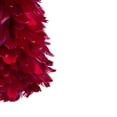 thumbnail image 4 of Northlight 24" Plum Feather Table Top Christmas Tree with Glitter, 4 of 6