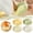 Green, variant on Ceramic Ginger Grater with Juice Collector, 3.5x0.8 Inch Sharp Grinding Plate, V Shaped Spout for Garlic Ginger Paste,1PCS,White