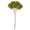 Antique Moss, variant on Vickerman 15" Brown Hydrangea with Multiple Branch Segments. Preserved