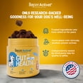 thumbnail image 3 of Dogsee Activet+ Gut Health Chews Probiotics Prebiotics Enzymes Fiber 90 Chews, 3 of 9