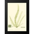 thumbnail image 2 of Bradbury, Henry 13x18 Black Modern Framed Museum Art Print Titled - Bradbury Seaweed II, 2 of 5