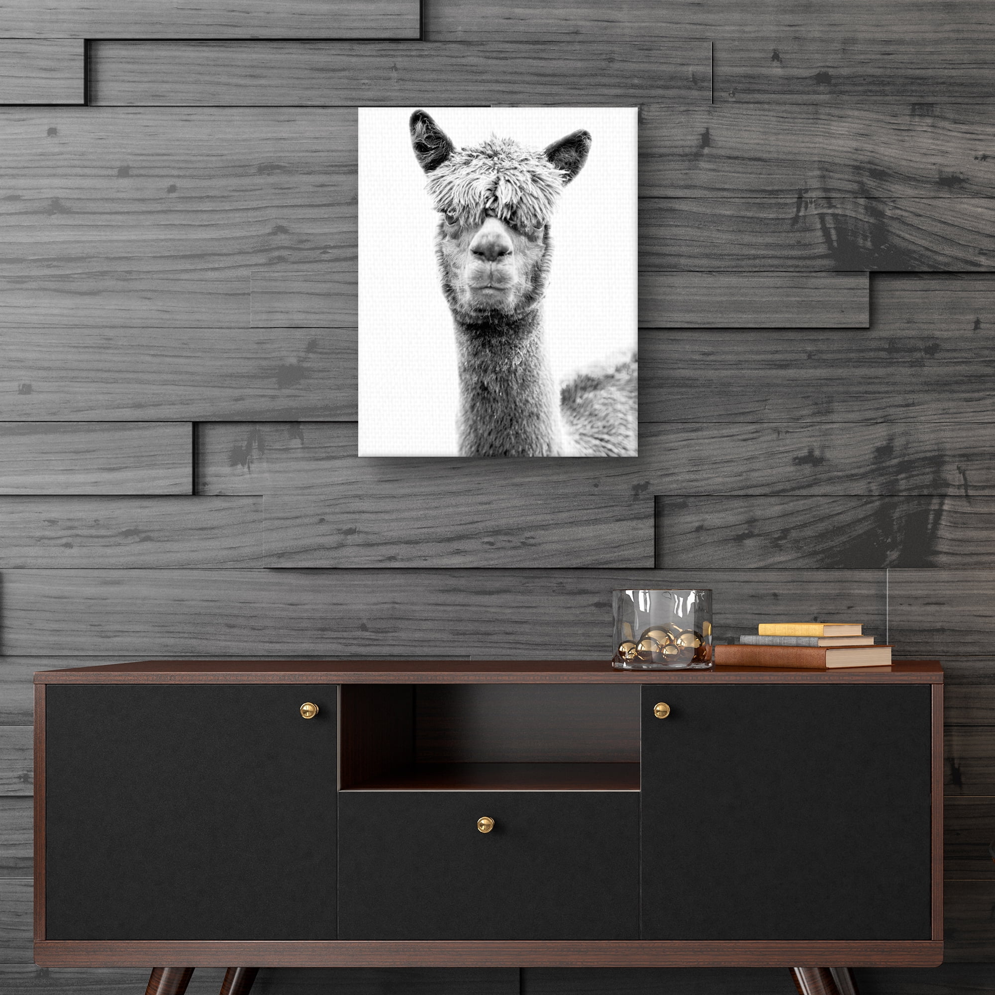 Jalisa by Bill Philip Llama Photo Canvas Art