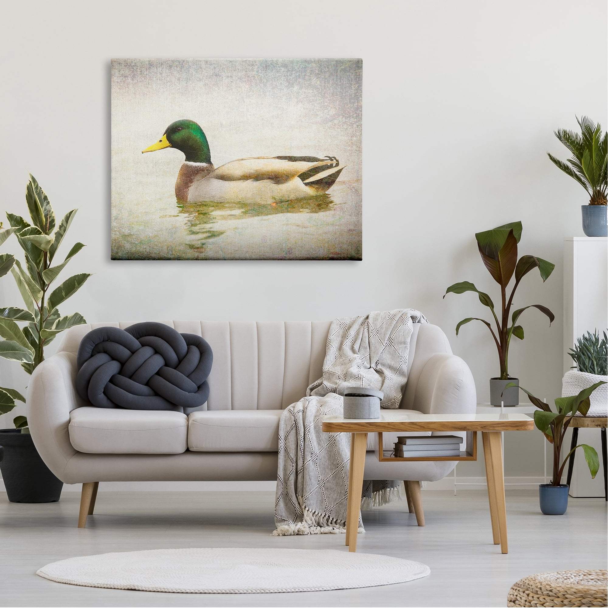 Stupell Industries Peaceful Mallard Duck Bird Swimming Water Detailed Canvas Wall Art, 48 x 36, Design by Daniel Sproul