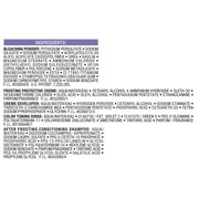 LOreal Paris Frost and Design Cap Hair Highlights For Long Hair, H65 Caramel, 1 kit