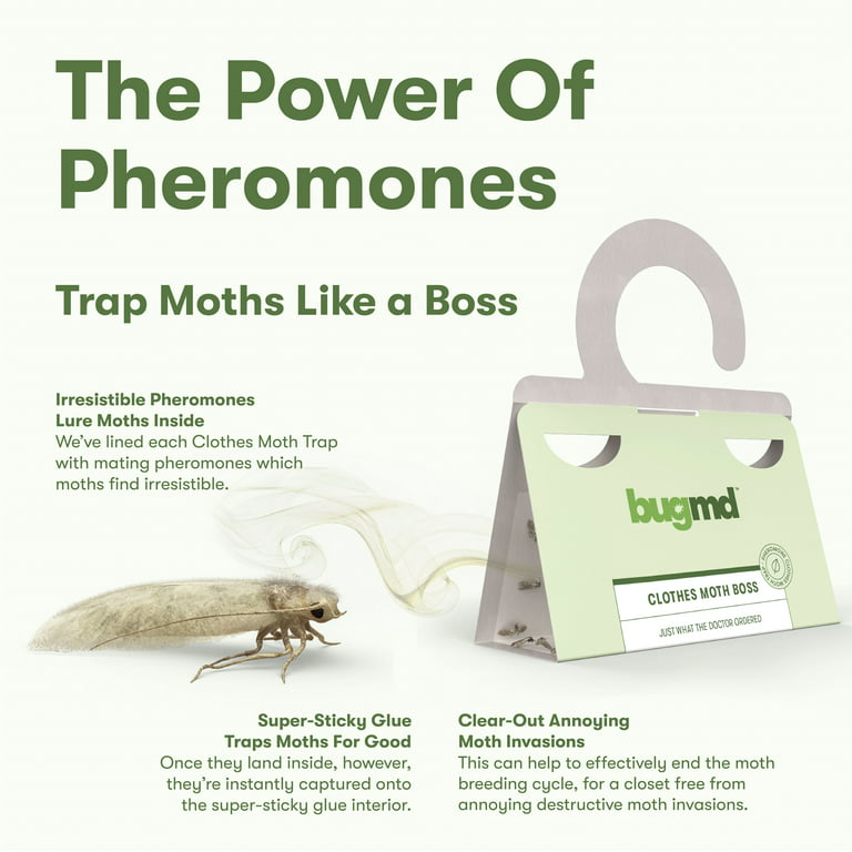 BugMD Clothes Moth Trap (6 Count)- Sticky Glue Bug Repellent Moth