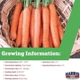 thumbnail image 6 of Harris Seeds - Carrot Seeds - Non-GMO F1 Goldfinger Variety - 50 Seeds, 6 of 7