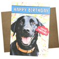 thumbnail image 1 of Tarjeta de Cumpleaños Whitman and Daughter con Labrador Negro 18x13 cm, 1 of 4