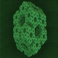 thumbnail image 1 of Ahgly Company Indoor Square Patterned Green Area Rugs, 8' Square, 1 of 6