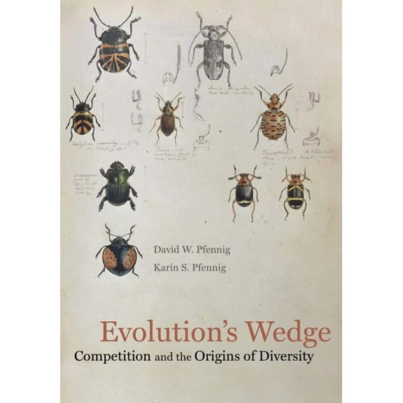 Organisms and Environments: Evolution's Wedge : Competition and the Origins of Diversity (Series #12) (Edition 1) (Hardcover)