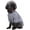 Grey, variant on Dog Clothes Dogs Sweater Soft Puppies Clothing Winter Puppy Sweaters Warm Outfit for Dogs Small XXS XS Cat Apparel (X-Small, Grey)