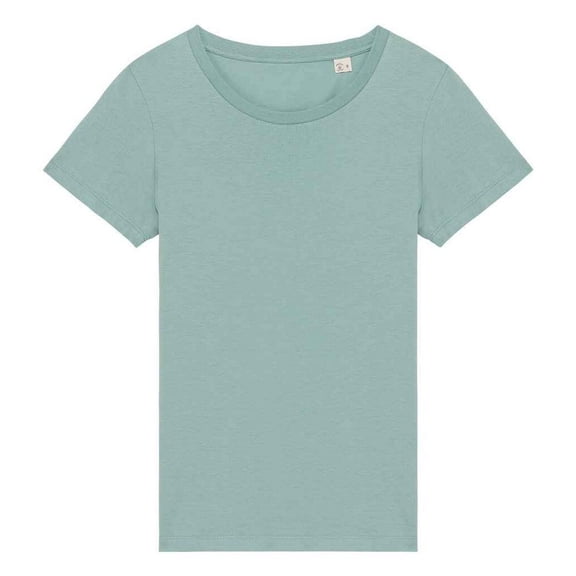 Native Spirit Womens T-Shirt