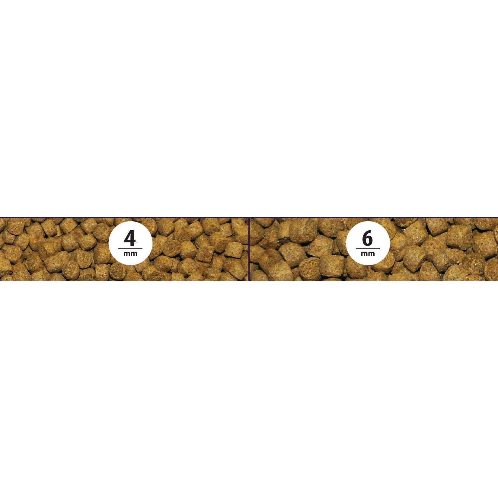 Northfin Jumbo Fish Formula 4mm