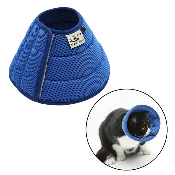 Dog cone hotsell to stop scratching