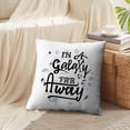 thumbnail image 3 of LALILO Throw Pillow Covers Galaxy Away Space Travel Quote Sign Banner Cushion Cover 18" x 18", 2 Pack, 3 of 6