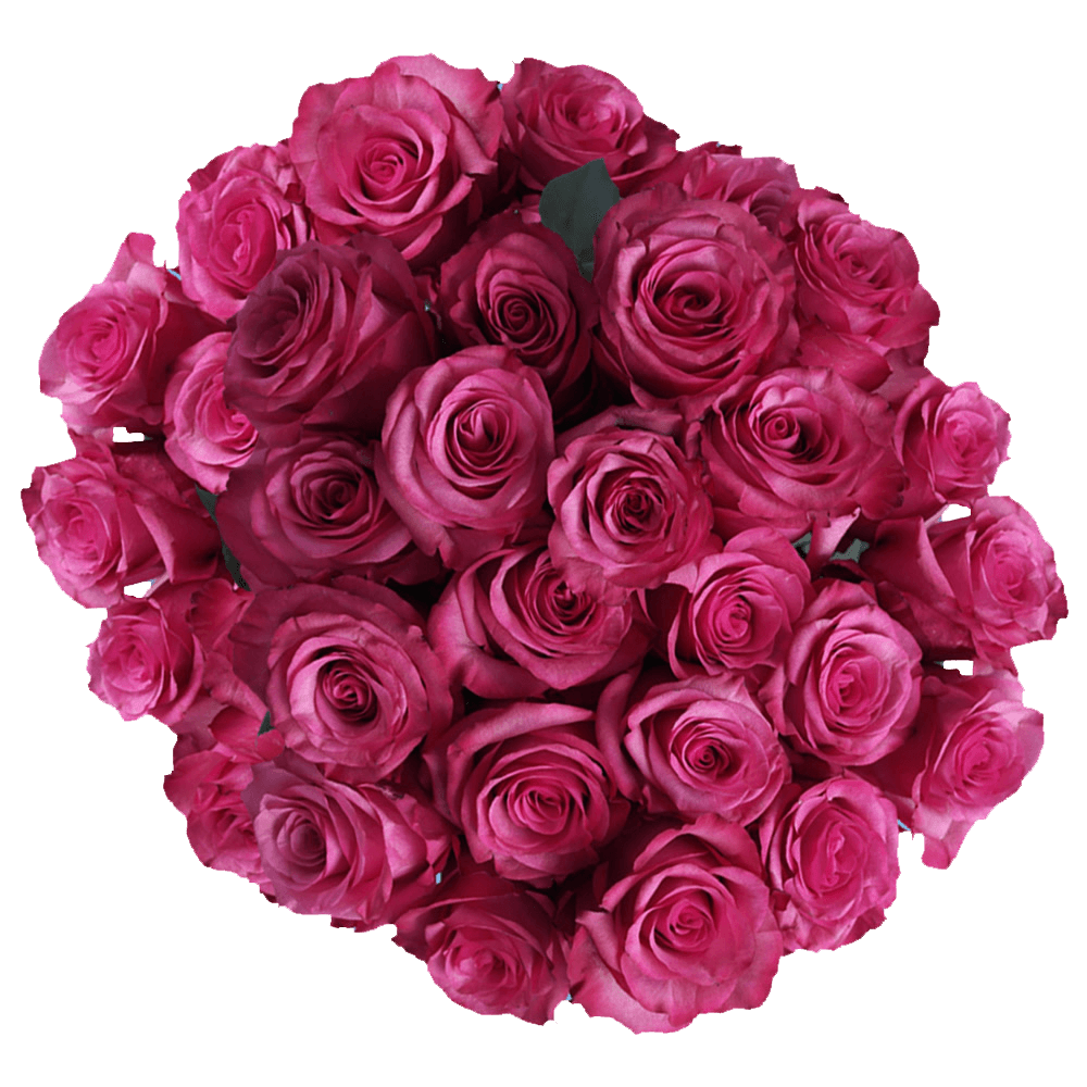 75 Stems of Lola Roses- Fresh Flower Delivery - Walmart.com - Walmart.com