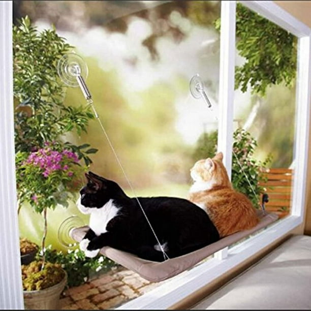 Lit pour chat avec ventouse pour chat avec fenêtre pour chat 