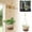 B, variant on Natural fiber boho hanging storage rack versatile plant organizer for modern home indoor decor