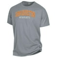thumbnail image 2 of Men's ComfortWash Gray Sam Houston State Bearkats Garment Dyed T-Shirt, 2 of 3