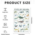 thumbnail image 7 of Shark Poster - Shark Knowledge Wall Art - Types of Shark Aluminum Metal Tin Sign - Fun World Education Science Shark Graph Painting Cute Gifts Decor for Home School Classroom Children's Room 12x8 Inch, 7 of 7
