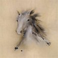 thumbnail image 1 of Horse Play II Poster Print by J.P. Prior, 12 x 12 - Small, 1 of 1