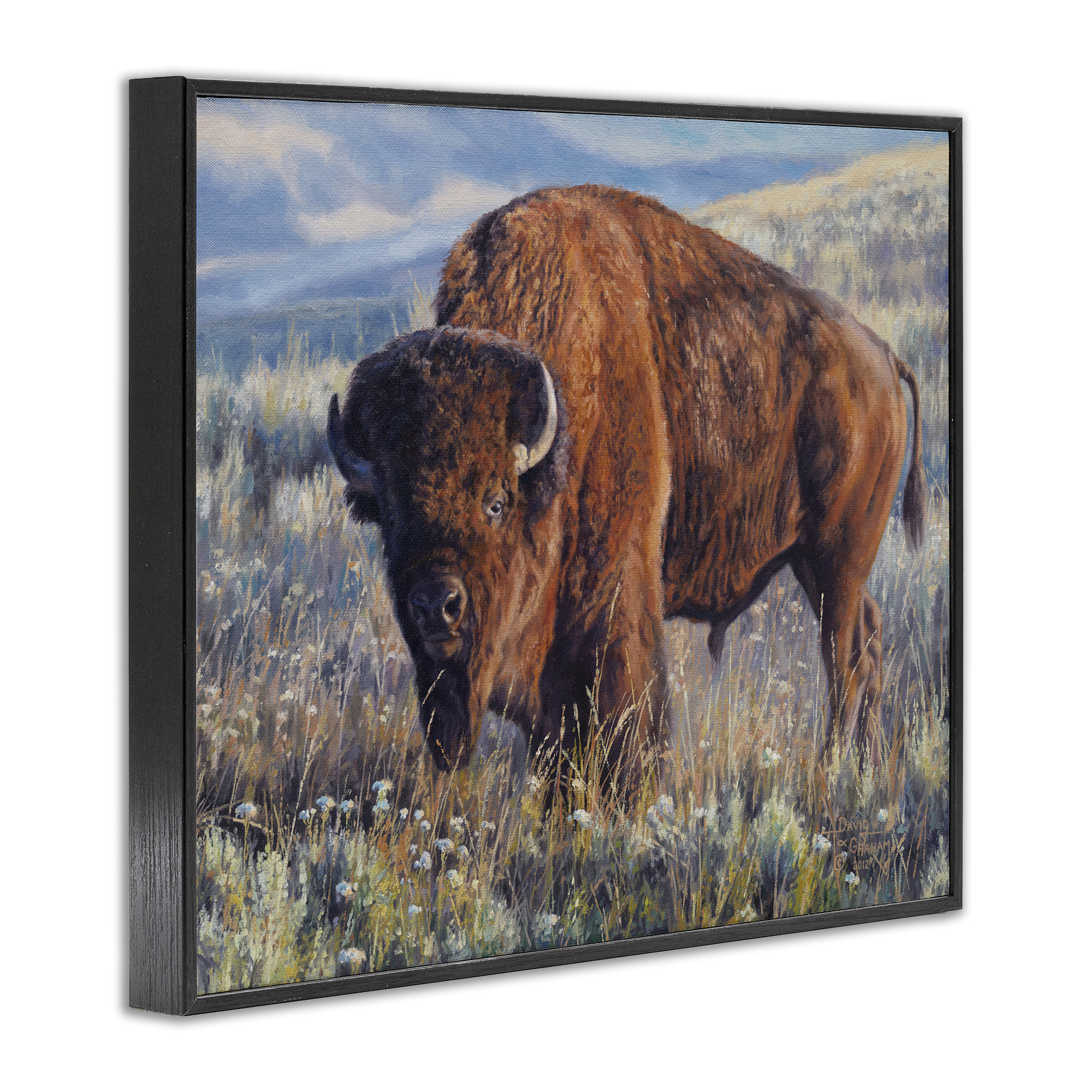 Stupell Industries Prairie King Bison Landscape Photography Black Framed Art Print Wall Art, 14 x 11