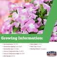 thumbnail image 2 of Harris Seeds Mega Bloom Pink Halo Vinca, Non-GMO Annual Periwinkle Flower Variety, 25 Count, 2 of 7