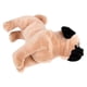thumbnail image 4 of BRIGHTFUFU 1 pieza de felpa lindo perro de juguete perro Pug niños peludo animal de peluche Mini adorable Pug, 4 of 7