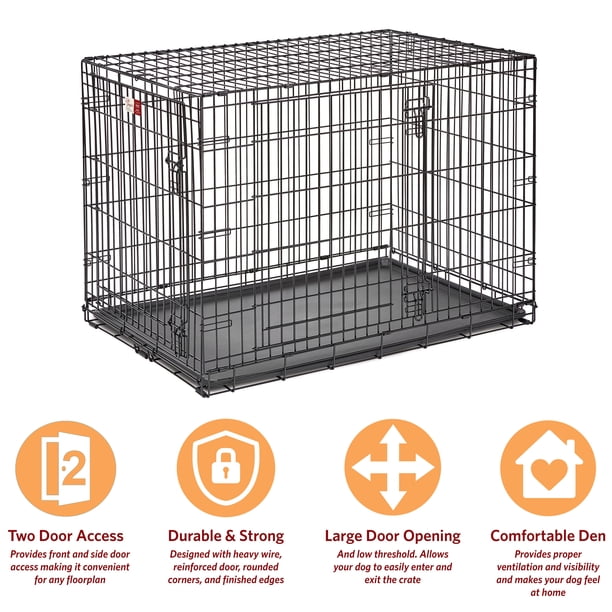MidWest Homes for Pets 42-inch LifeStages Crate for Large Breeds