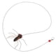 thumbnail image 4 of 2 recambios para juguetes de gatos: Recambios interactivos de insectos con forma de varita para gatos, cuerda larga, cabeza para juguete de enriquecimiento para gatitos de interior., 4 of 8